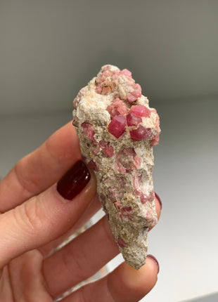 Raspberry Grossular Garnet Specimens Lot ! 12 Pieces