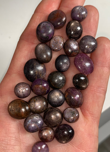 25 Pieces ! Flashy Star Ruby and Sapphire Lot - 295 Carats