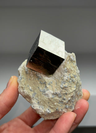 New ! Cubic Pyrite on Matrix from Navajun, Spain
