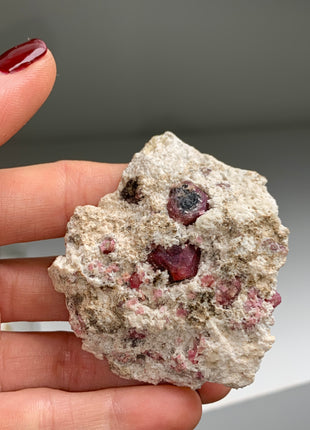 Raspberry Grossular Garnet Specimens Lot ! 8 Pieces