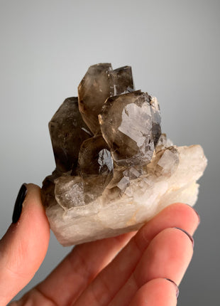 Elestial Smoky Quartz on White Quartz - From Namibia