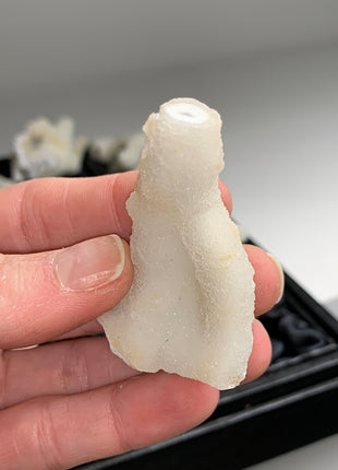 New ! White Coral Chalcedony Stalactite Lot - 12 pieces !