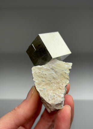 New ! Cubic Pyrite on Matrix from Navajun, Spain