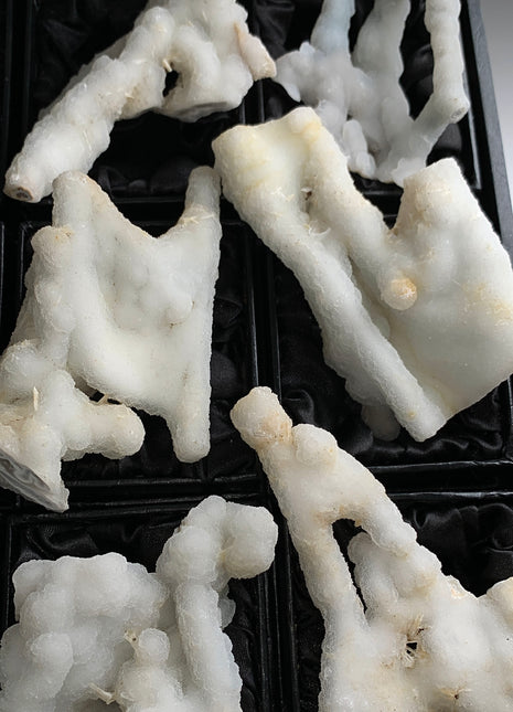 New ! White Coral Chalcedony Stalactite Lot - 6 pieces !