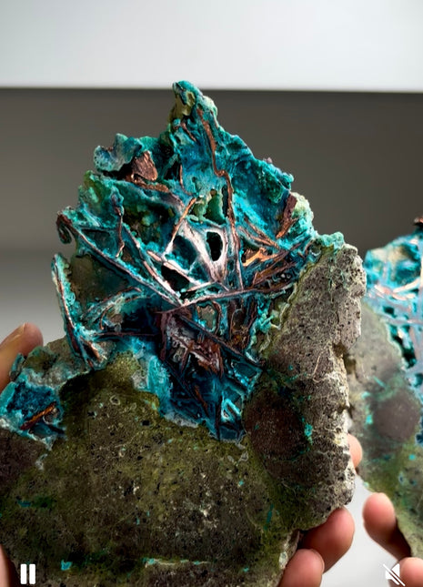 Stunning  ! Native Copper with Chrysocolla Pair