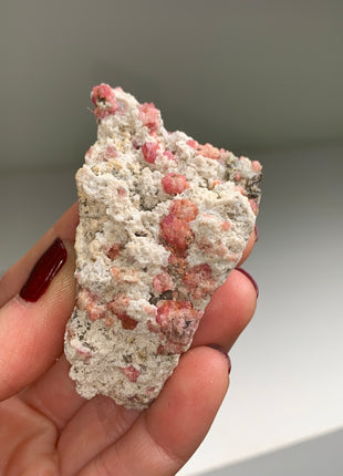 Raspberry Grossular Garnet Specimens Lot ! 12 Pieces