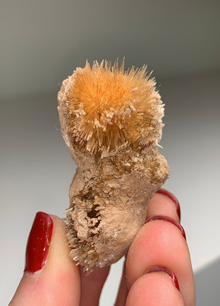 New Arrival ! Bursting Sun Aragonite Ball  - From Pantoja, Spain
