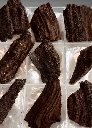 9 Piece Lot ! Rare Permineralized Fossil Wood with Quartz - From Germany