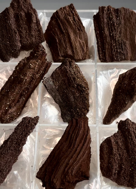 9 Piece Lot ! Rare Permineralized Fossil Wood with Quartz - From Germany