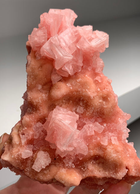 New ! Pink Halite with Great Crystallization - from Searles Lake, California