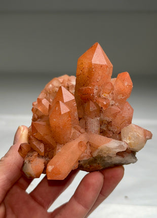 New arrival ! Red Passion Quartz