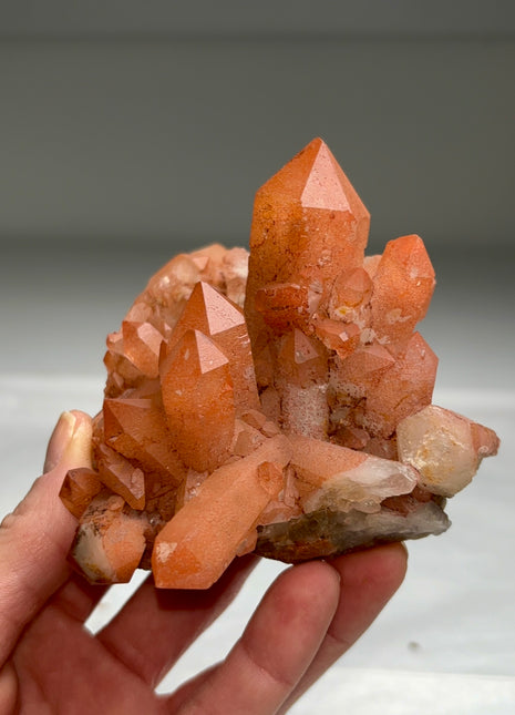 New arrival ! Red Passion Quartz