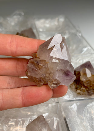 Cactus Quartz Smoky Amethyst Clusters Lot From South African Republic - 9 Pieces !