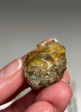 9 pieces !  High Grade We’lo Opal Lot  - From Ethiopia