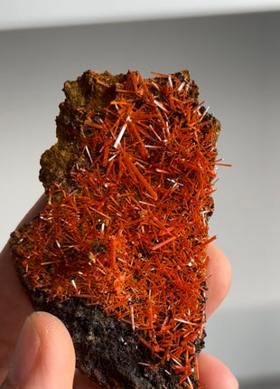 Red Crocoite Specimen PM0456