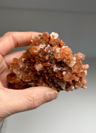 4 Piece Lot ! Aragonite Disco Ball Specimens