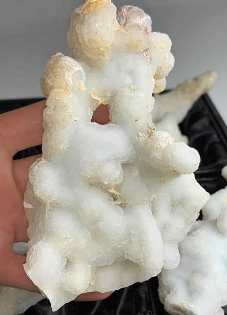 New ! White Coral Chalcedony Stalactite Lot - 4 pieces !
