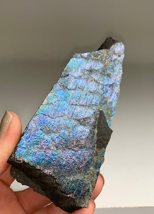 New ! Colorful Bornite Specimen 🌈 - From Lubin mine, Poland