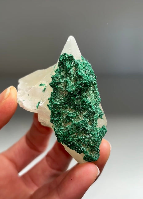 New find ! Calcite with Velvety Malachite from Congo