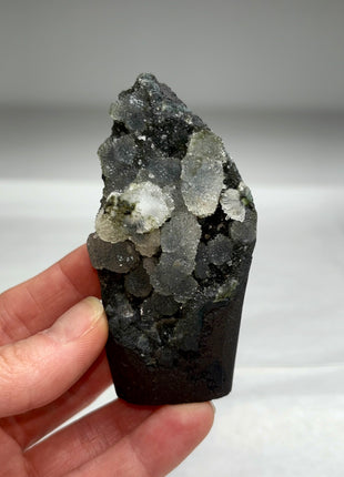 Druzy Black Chalcedony Geode