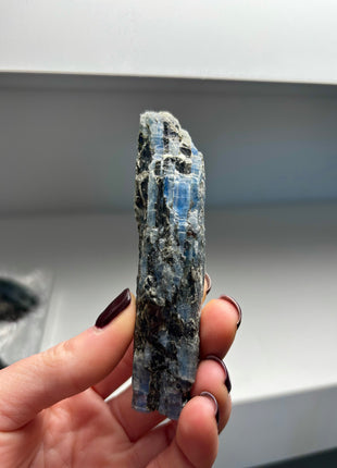 XL Size Blue Kyanite with Mica - From Zambia - 12 Pieces