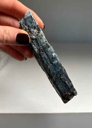 XL Size Blue Kyanite with Mica - From Zambia - 6 Pieces