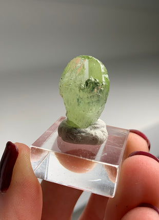 Green Diopside - Merelani Hills, Tanzania