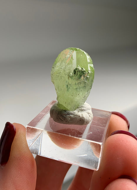 Green Diopside - Merelani Hills, Tanzania