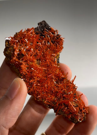 Red Crocoite Specimen PM0457