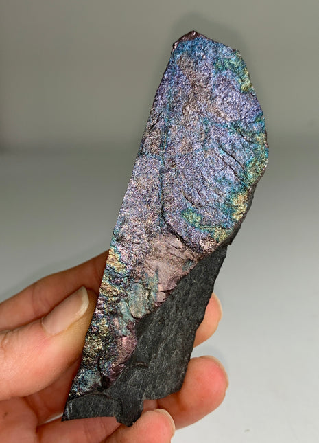 Rare ! Bornite Specimen π - From Lubin mine, Poland