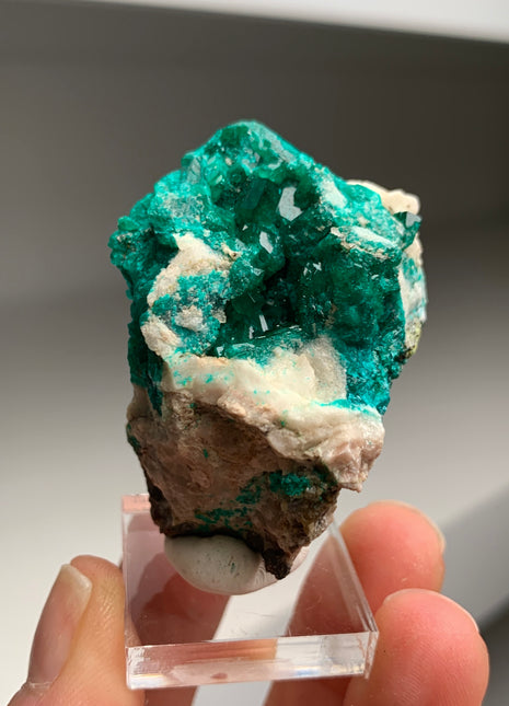 Green Dioptase