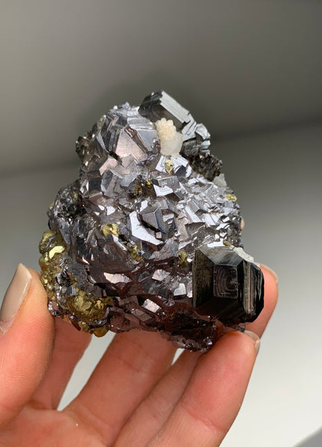 Metallic Combo ! Sphalerite with Galena, Pyrite - From Trepca mine