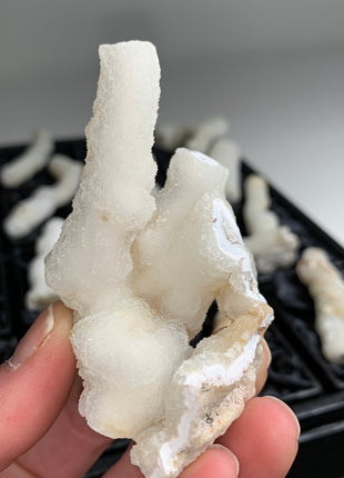 New ! White Coral Chalcedony Stalactite Lot - 12 pieces !