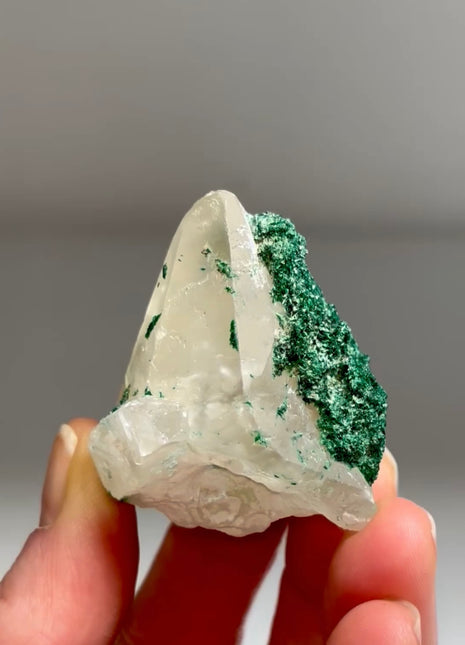 New find ! Calcite with Velvety Malachite from Congo