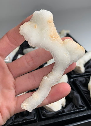 New ! White Coral Chalcedony Stalactite Lot - 12 pieces !