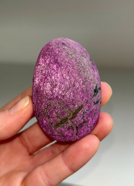 Velvet Purpurite