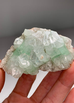 Green Apophyllite Crystals
