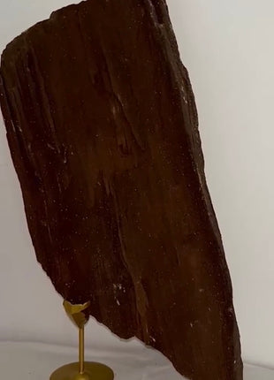 Stunning and Rare Permineralized Fossil Wood with Quartz - From Germany