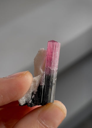Pink Tourmaline Specimen PM1329
