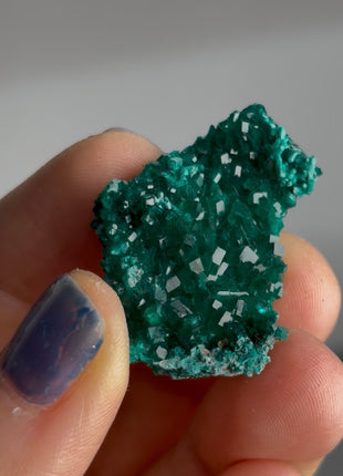 Green Dioptase Specimen PM1642