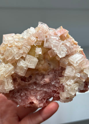 New find ! Green and Pink Halite - from Owens Lake, California