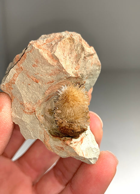 Bursting Sun Aragonite Ball in Cluster - From Pantoja, Spain