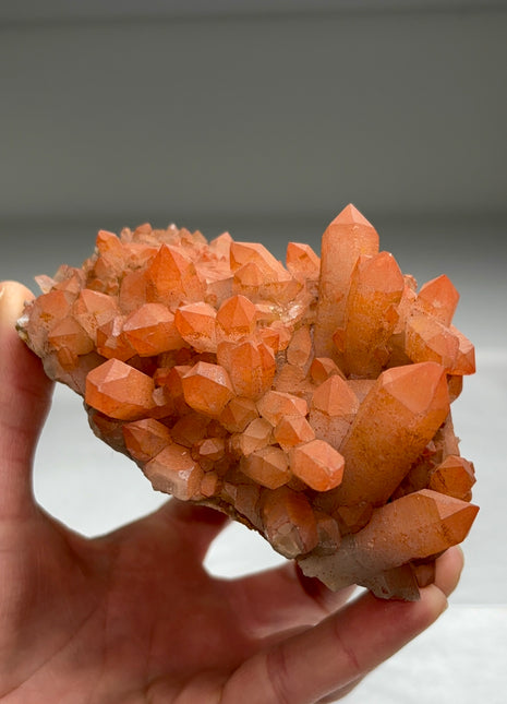 New arrival ! Red Passion Quartz