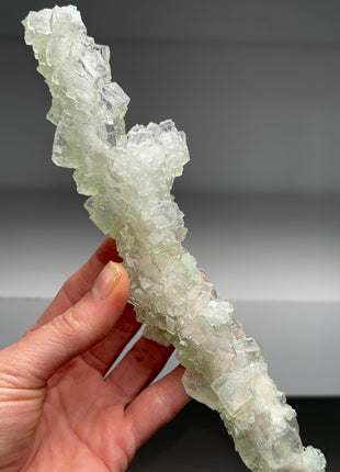 Stunning ! Gemmy Green Halite Stalactite - From Lubin mine, Poland