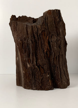 Stunning and Rare Permineralized Fossil Wood with Quartz From Germany - 8.2 kgs ! *