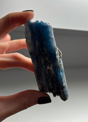 XL Size Blue Kyanite with Mica - From Zambia - 12 Pieces