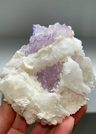 Fluorite on Celestine