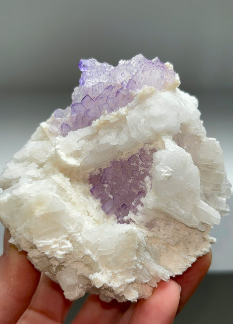 Fluorite on Celestine