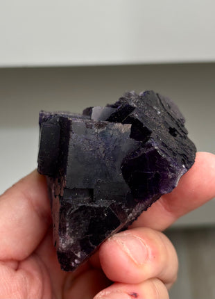 Blurple Fluorite from Muzquiz, Mexico