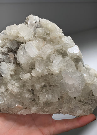 Tabular Apophyllites with Druzy Chalcedony ✨